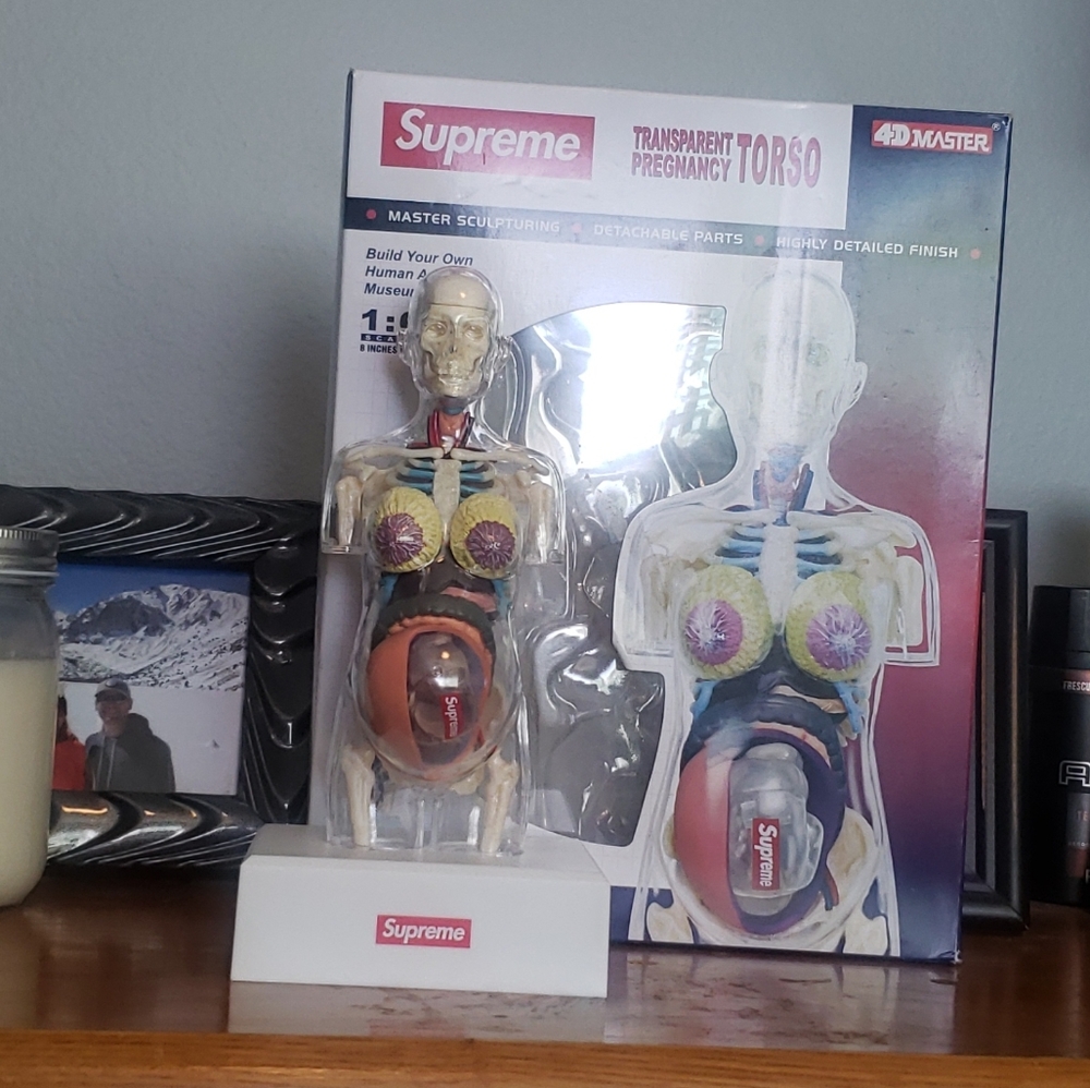 Supreme Brand pregnancy model